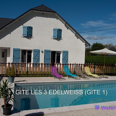 Gîte Les 3 Edelweiss Arette Extérieur photo